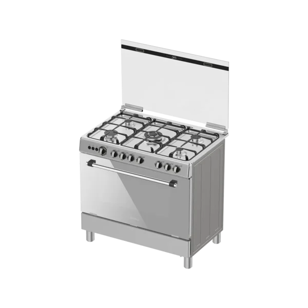 Large Capacity Gas Cooker with 5 Cooktop Burners